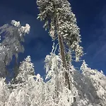 Dorfidylle - Thueringer Wald Rennsteig