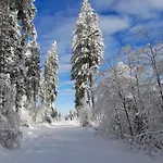 Dorfidylle - Thueringer Wald Rennsteig