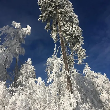 Dorfidylle - Thueringer Wald Rennsteig
