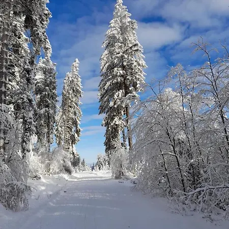 Dorfidylle - Thueringer Wald Rennsteig