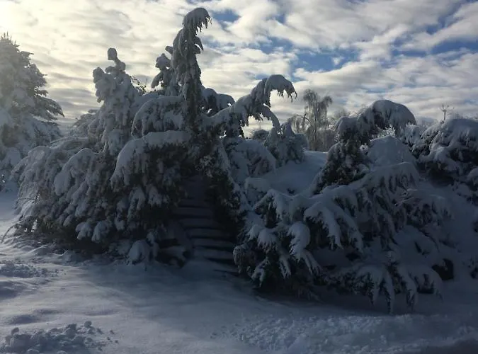 Dorfidylle - Thueringer Wald Rennsteig Daire