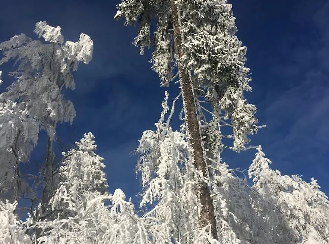 Dorfidylle - Thueringer Wald Rennsteig