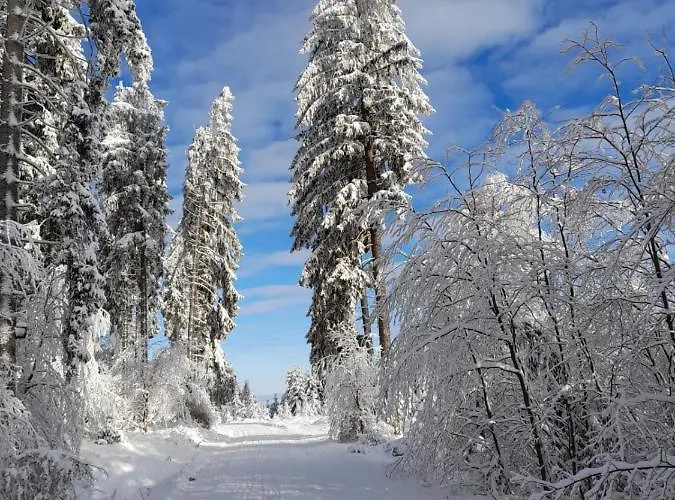 Dorfidylle - Thueringer Wald Rennsteig