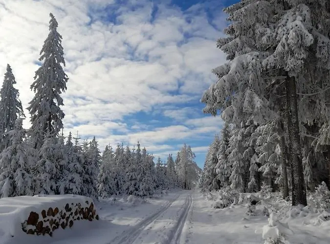 Dorfidylle - Thueringer Wald Rennsteig *